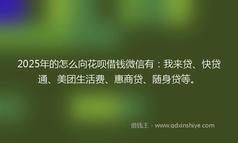 2025年的怎么向花呗借钱微信有：我来贷、快贷通、美团生活费、惠商贷、随身贷等。