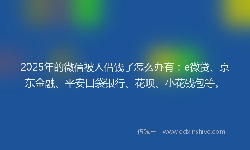 2025年的微信被人借钱了怎么办有：e微贷、京东金融、平安口袋银行、花呗、小花钱包等。