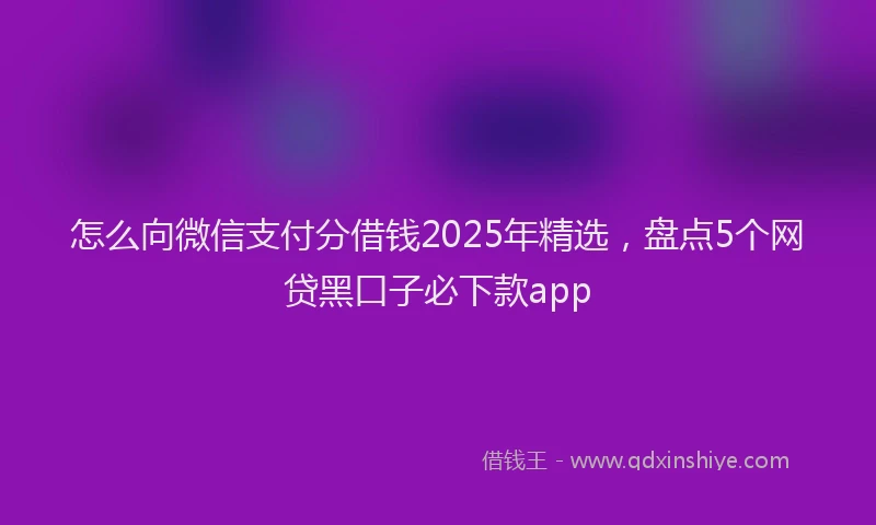 怎么向微信支付分借钱2025年精选，盘点5个网贷黑口子必下款app