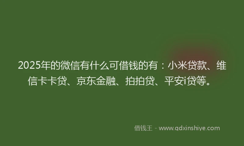 2025年的微信有什么可借钱的有：小米贷款、维信卡卡贷、京东金融、拍拍贷、平安i贷等。