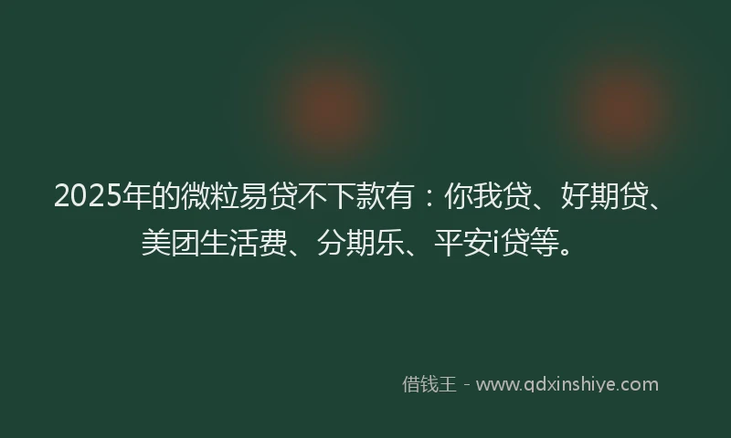 2025年的微粒易贷不下款有：你我贷、好期贷、美团生活费、分期乐、平安i贷等。