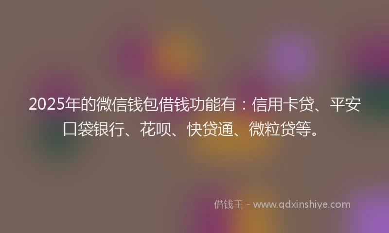 2025年的微信钱包借钱功能有：信用卡贷、平安口袋银行、花呗、快贷通、微粒贷等。