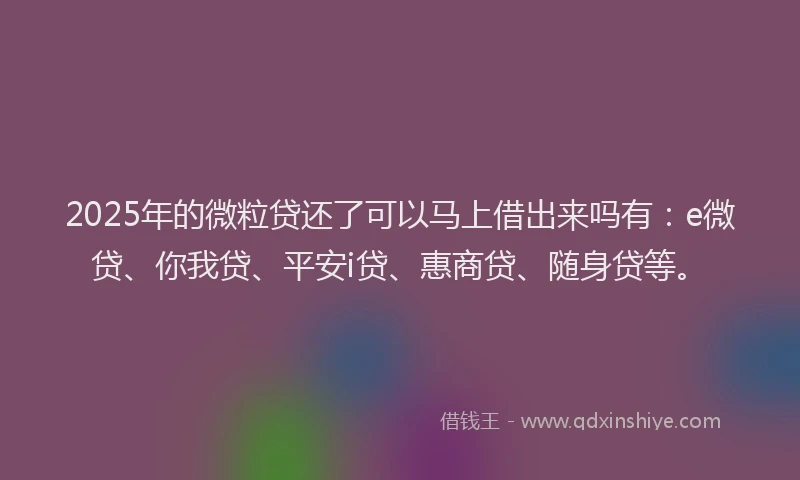 2025年的微粒贷还了可以马上借出来吗有：e微贷、你我贷、平安i贷、惠商贷、随身贷等。