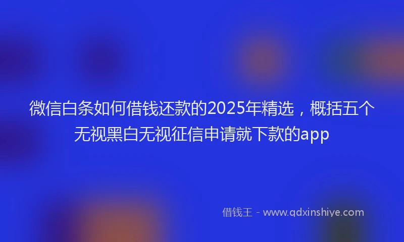 微信白条如何借钱还款的2025年精选，概括五个无视黑白无视征信申请就下款的app