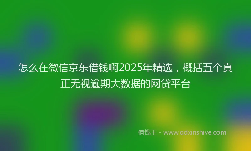 怎么在微信京东借钱啊2025年精选，概括五个真正无视逾期大数据的网贷平台