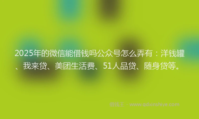 2025年的微信能借钱吗公众号怎么弄有：洋钱罐、我来贷、美团生活费、51人品贷、随身贷等。