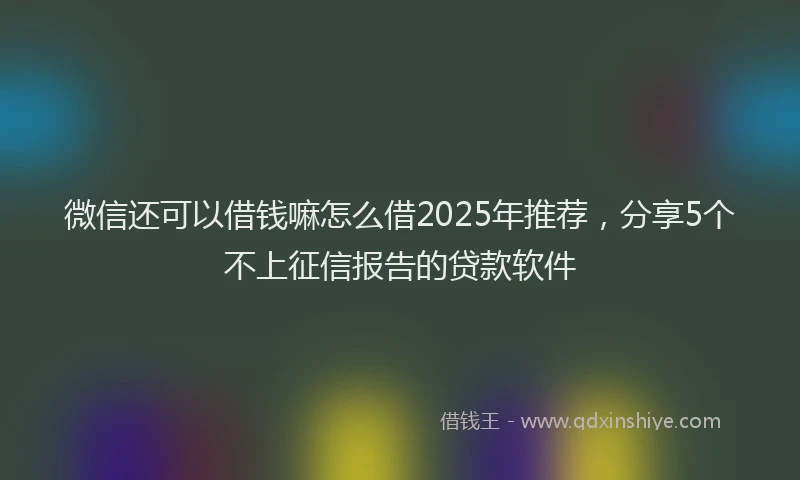 微信还可以借钱嘛怎么借2025年推荐，分享5个不上征信报告的贷款软件
