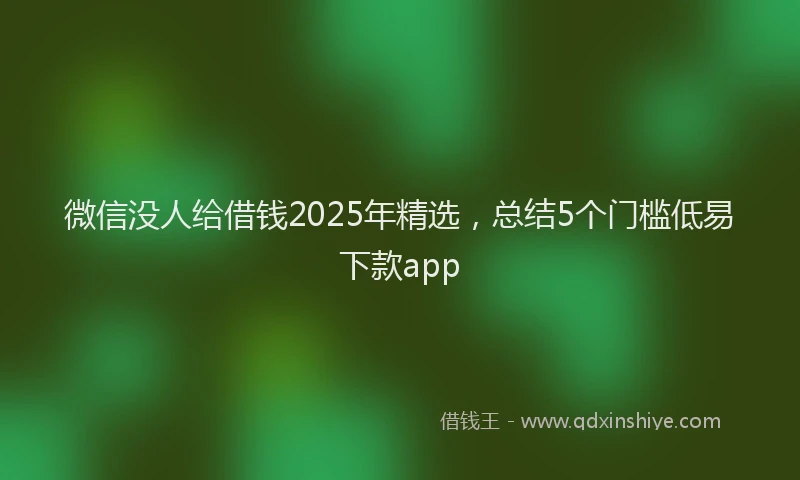 微信没人给借钱2025年精选，总结5个门槛低易下款app