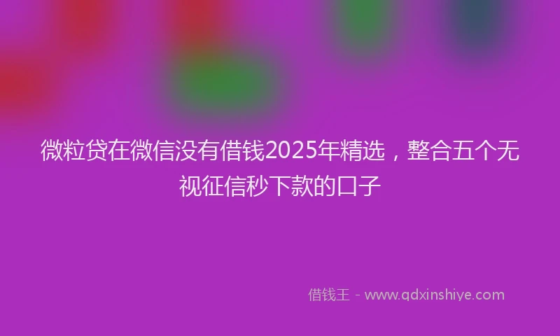 微粒贷在微信没有借钱2025年精选，整合五个无视征信秒下款的口子
