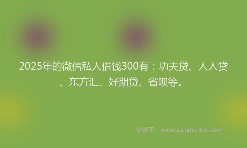 2025年的微信私人借钱300有：功夫贷、人人贷、东方汇、好期贷、省呗等。