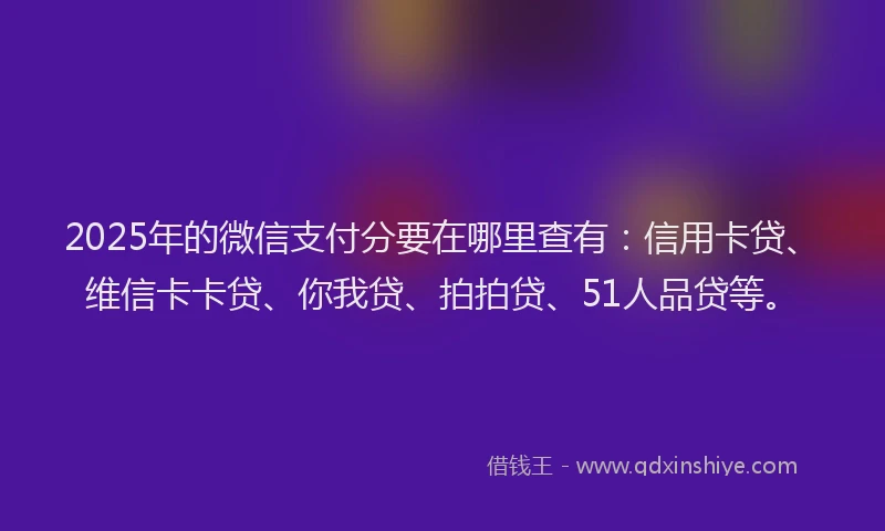 2025年的微信支付分要在哪里查有：信用卡贷、维信卡卡贷、你我贷、拍拍贷、51人品贷等。