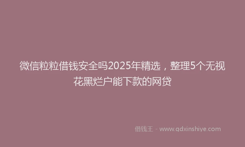 微信粒粒借钱安全吗2025年精选，整理5个无视花黑烂户能下款的网贷
