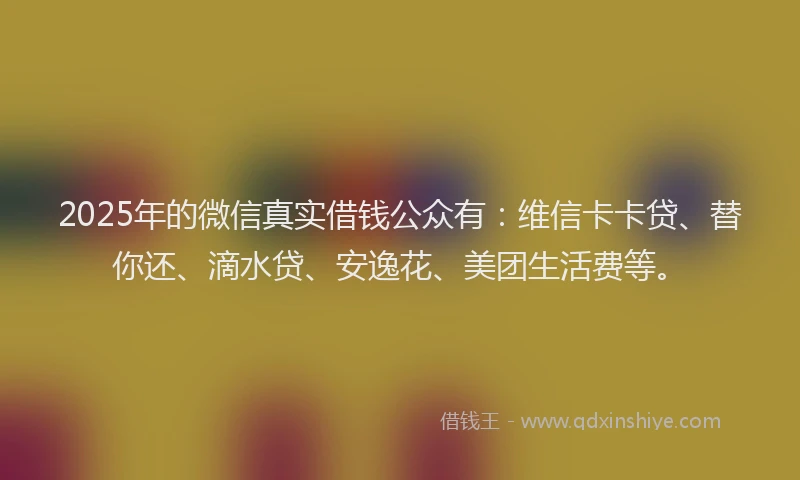 2025年的微信真实借钱公众有：维信卡卡贷、替你还、滴水贷、安逸花、美团生活费等。