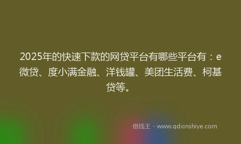 2025年的快速下款的网贷平台有哪些平台有：e微贷、度小满金融、洋钱罐、美团生活费、柯基贷等。