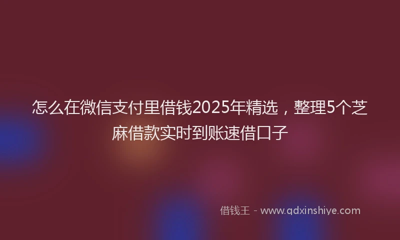 怎么在微信支付里借钱2025年精选，整理5个芝麻借款实时到账速借口子
