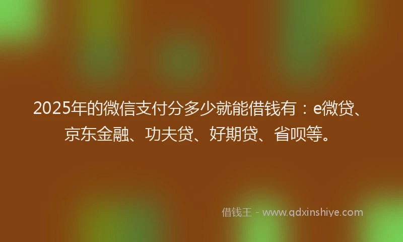 2025年的微信支付分多少就能借钱有：e微贷、京东金融、功夫贷、好期贷、省呗等。
