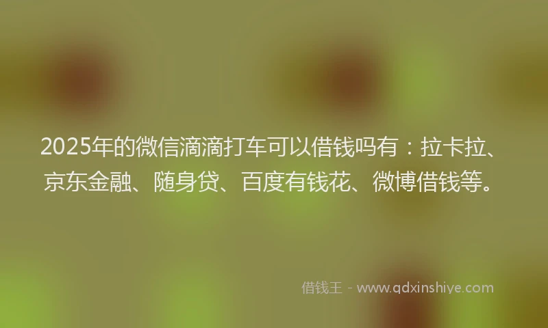 2025年的微信滴滴打车可以借钱吗有：拉卡拉、京东金融、随身贷、百度有钱花、微博借钱等。