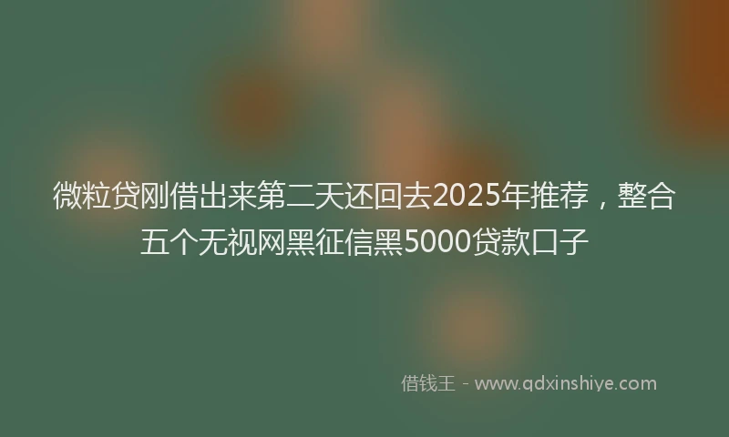 微粒贷刚借出来第二天还回去2025年推荐，整合五个无视网黑征信黑5000贷款口子