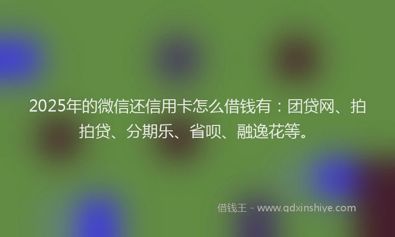 2025年的微信还信用卡怎么借钱有：团贷网、拍拍贷、分期乐、省呗、融逸花等。