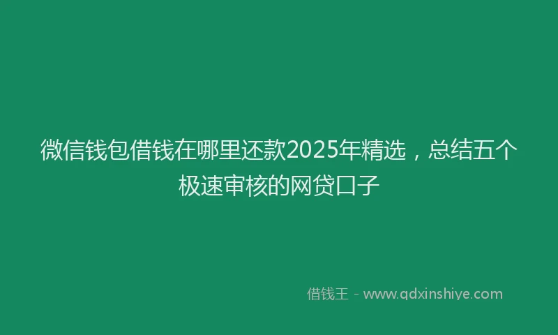 微信钱包借钱在哪里还款2025年精选，总结五个极速审核的网贷口子