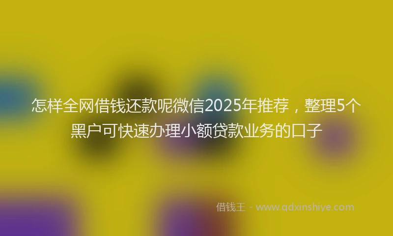 怎样全网借钱还款呢微信2025年推荐，整理5个黑户可快速办理小额贷款业务的口子