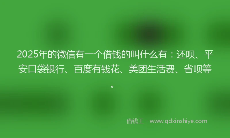 2025年的微信有一个借钱的叫什么有：还呗、平安口袋银行、百度有钱花、美团生活费、省呗等。
