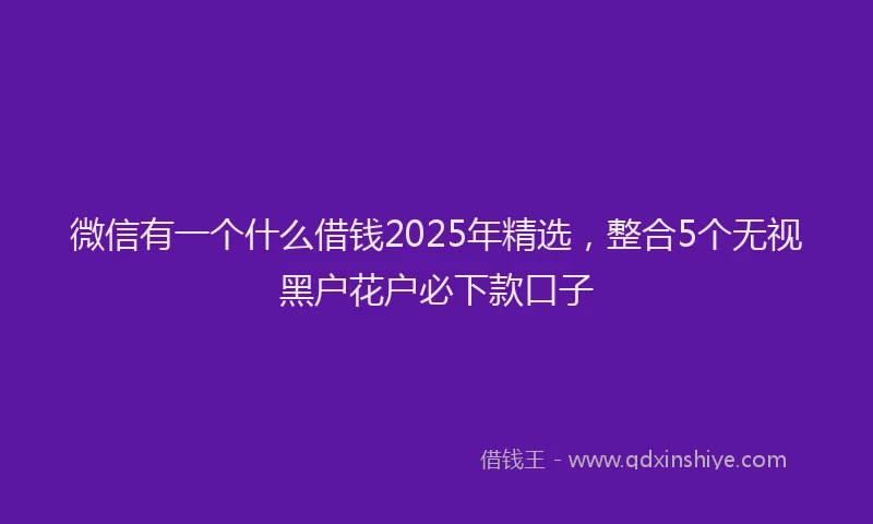 微信有一个什么借钱2025年精选，整合5个无视黑户花户必下款口子