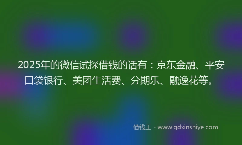 2025年的微信试探借钱的话有：京东金融、平安口袋银行、美团生活费、分期乐、融逸花等。