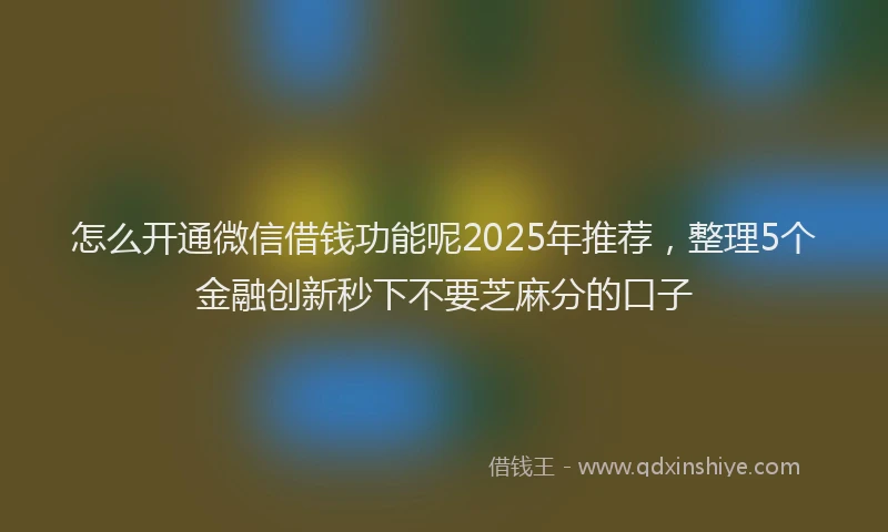 怎么开通微信借钱功能呢2025年推荐，整理5个金融创新秒下不要芝麻分的口子