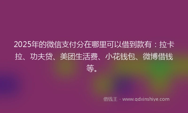 2025年的微信支付分在哪里可以借到款有:拉卡拉、功夫贷、美团生活费、小花钱包、微博借钱等。