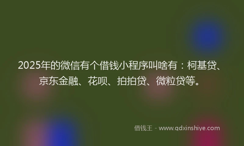 2025年的微信有个借钱小程序叫啥有：柯基贷、京东金融、花呗、拍拍贷、微粒贷等。