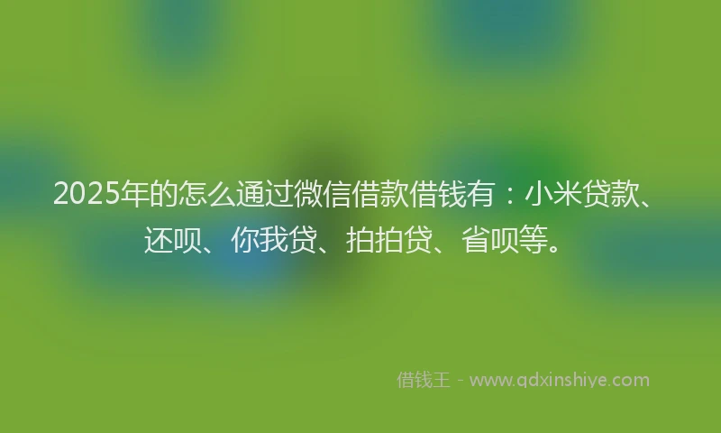2025年的怎么通过微信借款借钱有：小米贷款、还呗、你我贷、拍拍贷、省呗等。
