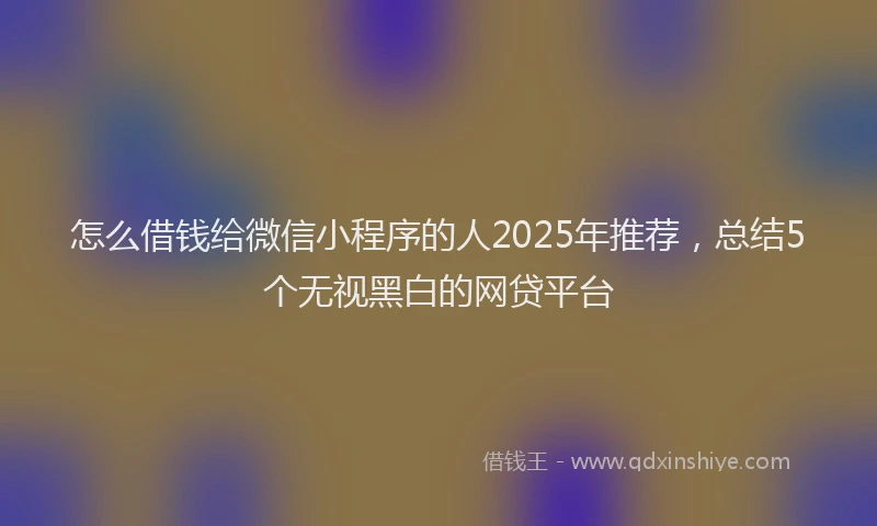 怎么借钱给微信小程序的人2025年推荐，总结5个无视黑白的网贷平台