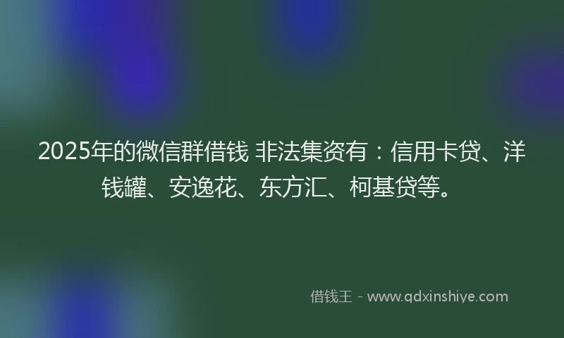 2025年的微信群借钱 非法集资有：信用卡贷、洋钱罐、安逸花、东方汇、柯基贷等。