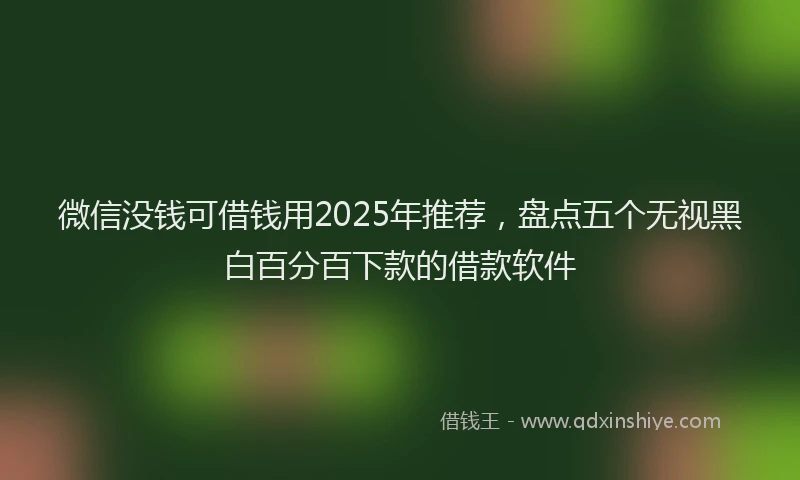 微信没钱可借钱用2025年推荐，盘点五个无视黑白百分百下款的借款软件