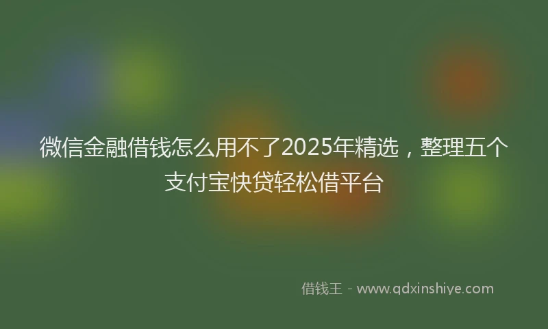 微信金融借钱怎么用不了2025年精选，整理五个支付宝快贷轻松借平台
