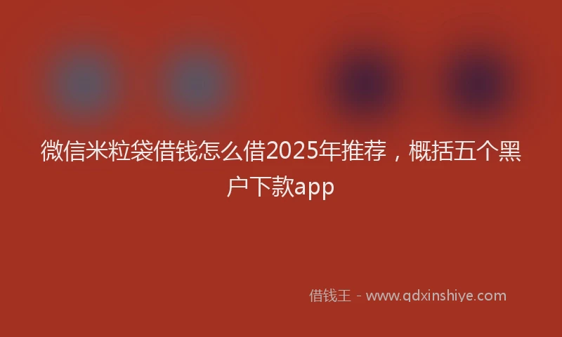 微信米粒袋借钱怎么借2025年推荐，概括五个黑户下款app