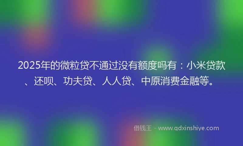 2025年的微粒贷不通过没有额度吗有：小米贷款、还呗、功夫贷、人人贷、中原消费金融等。