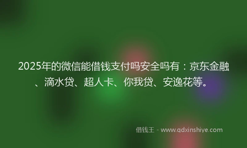 2025年的微信能借钱支付吗安全吗有：京东金融、滴水贷、超人卡、你我贷、安逸花等。
