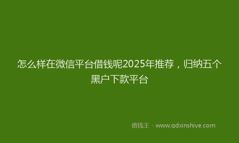 怎么样在微信平台借钱呢2025年推荐，归纳五个黑户下款平台