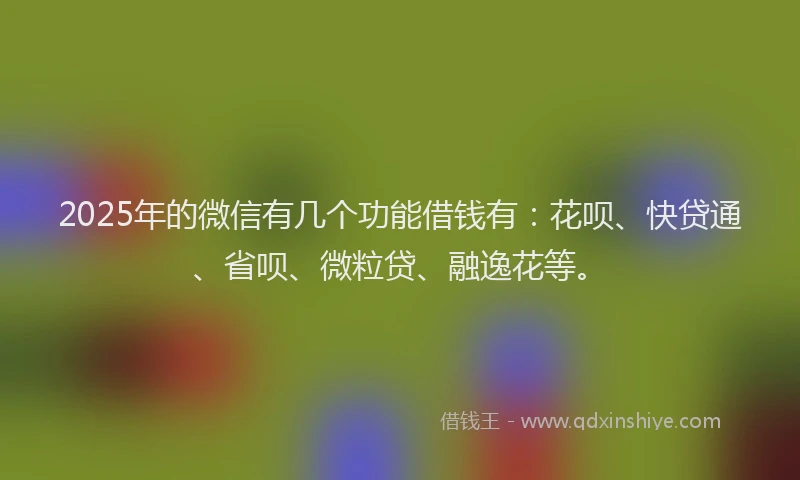 2025年的微信有几个功能借钱有：花呗、快贷通、省呗、微粒贷、融逸花等。