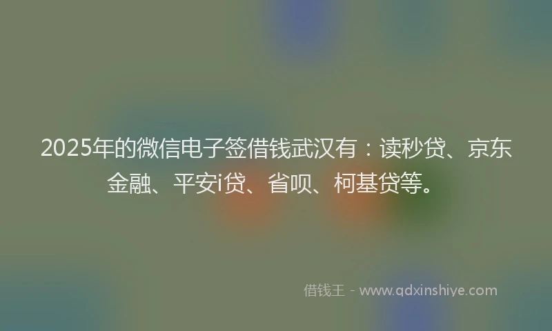 2025年的微信电子签借钱武汉有：读秒贷、京东金融、平安i贷、省呗、柯基贷等。
