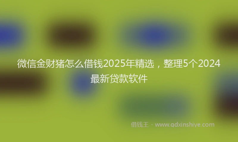 微信金财猪怎么借钱2025年精选，整理5个2024最新贷款软件