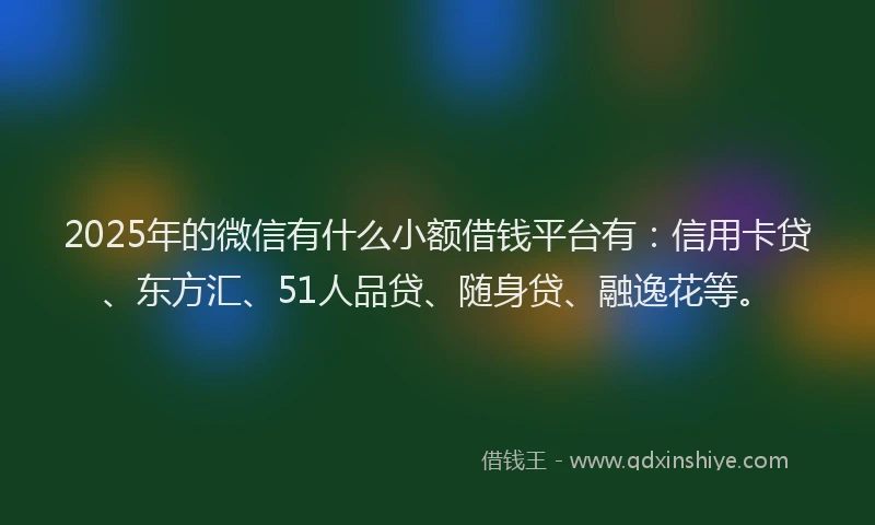 2025年的微信有什么小额借钱平台有：信用卡贷、东方汇、51人品贷、随身贷、融逸花等。