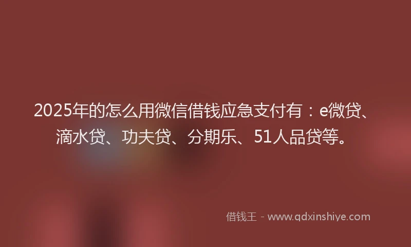 2025年的怎么用微信借钱应急支付有：e微贷、滴水贷、功夫贷、分期乐、51人品贷等。