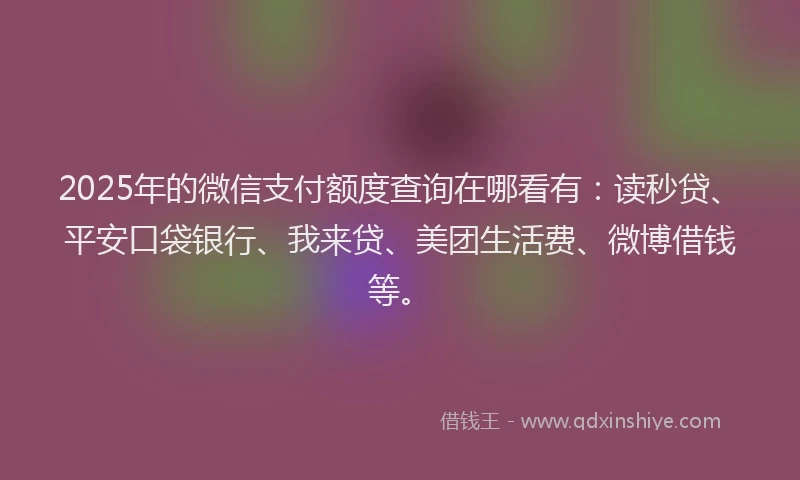 2025年的微信支付额度查询在哪看有：读秒贷、平安口袋银行、我来贷、美团生活费、微博借钱等。