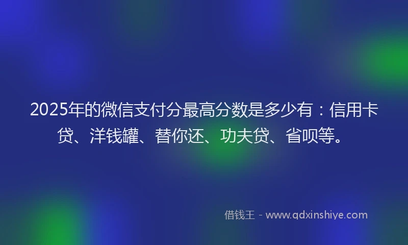 2025年的微信支付分最高分数是多少有：信用卡贷、洋钱罐、替你还、功夫贷、省呗等。