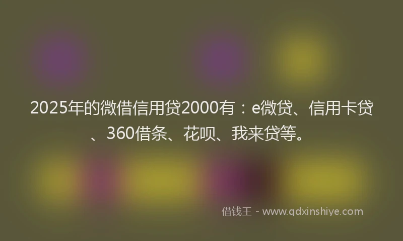 2025年的微借信用贷2000有：e微贷、信用卡贷、360借条、花呗、我来贷等。