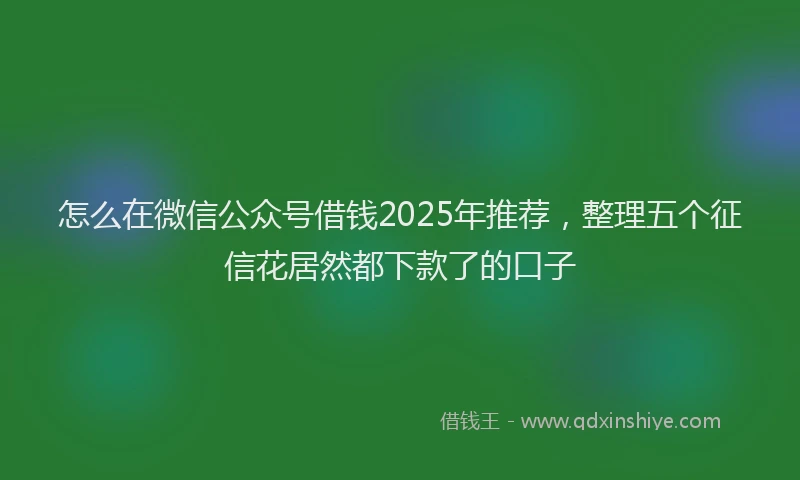 怎么在微信公众号借钱2025年推荐，整理五个征信花居然都下款了的口子