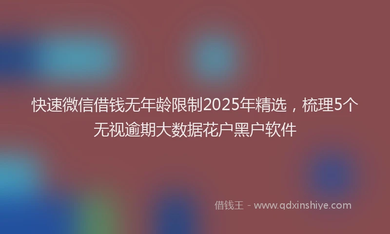 快速微信借钱无年龄限制2025年精选，梳理5个无视逾期大数据花户黑户软件